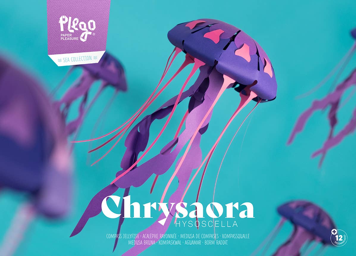 Jellyfish 3D Paper Figure by Plego | Sea Collection | No Glue Needed