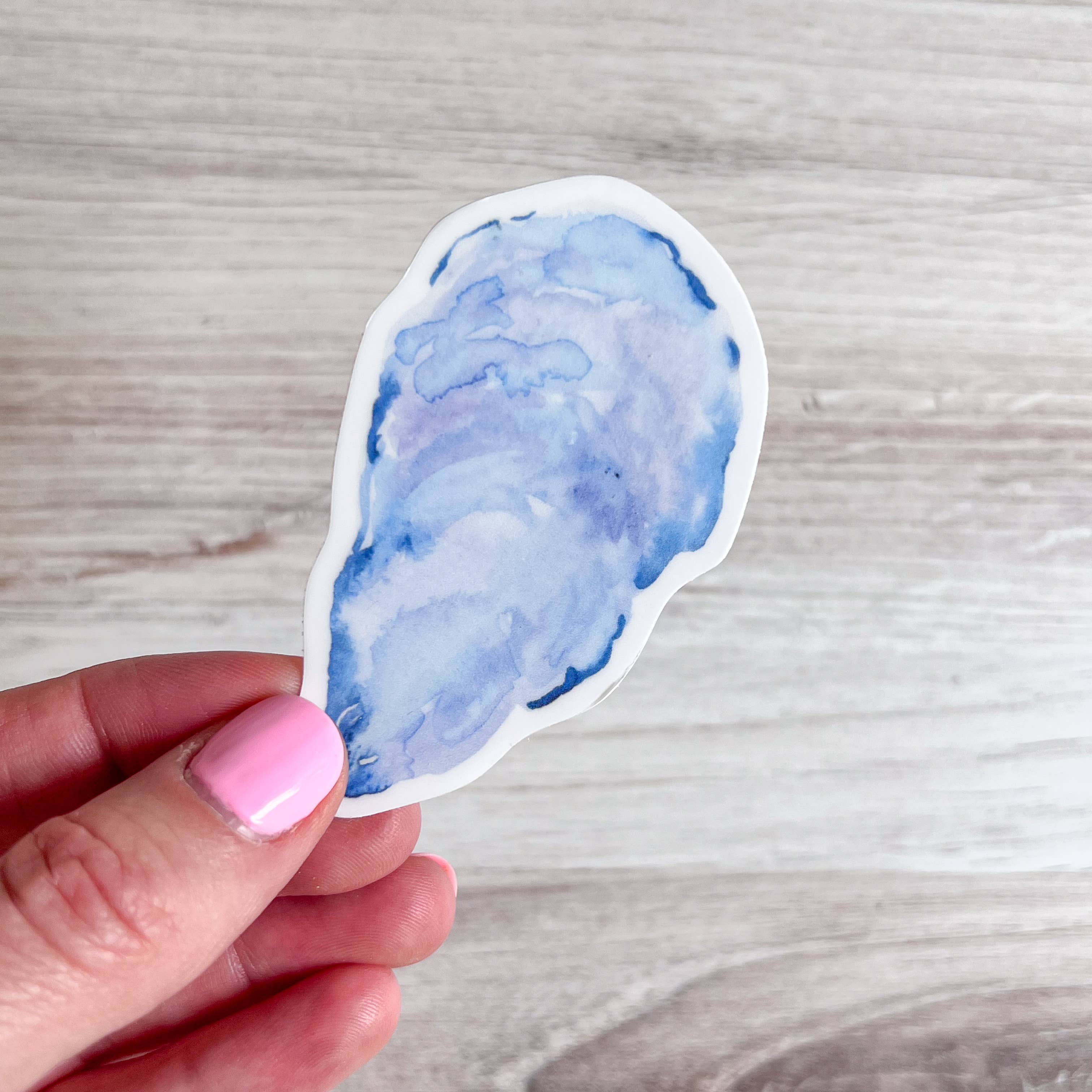 Mussel Shell Sticker | Oyster Shell Sticker | 1.8" x 3"