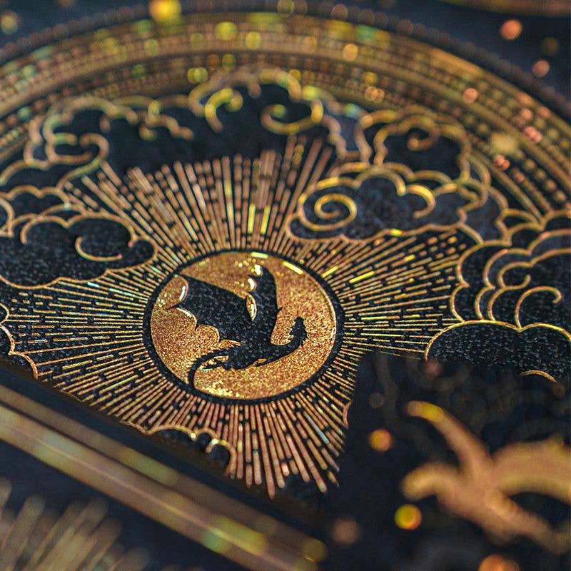 Paperblanks Shadows of Navarre Hardcover (Fourth Wing)