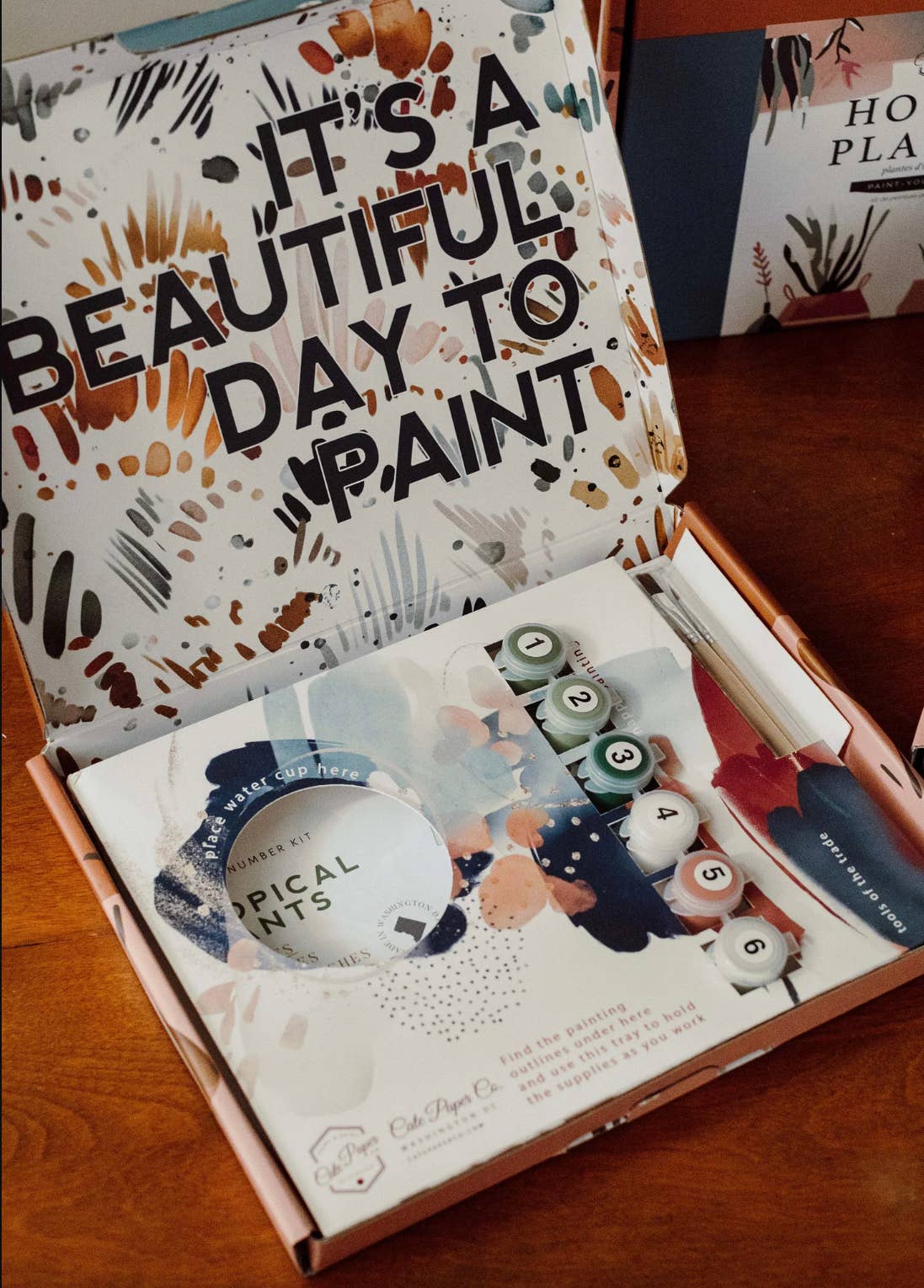 Field of Daisies Paint By Numbers Kit