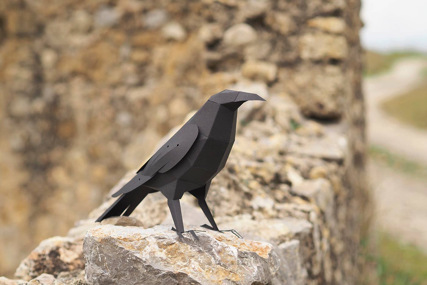 Raven 3D Paper Figure Kit by Plego | Black Paper Bird Model | DIY Craft Kit