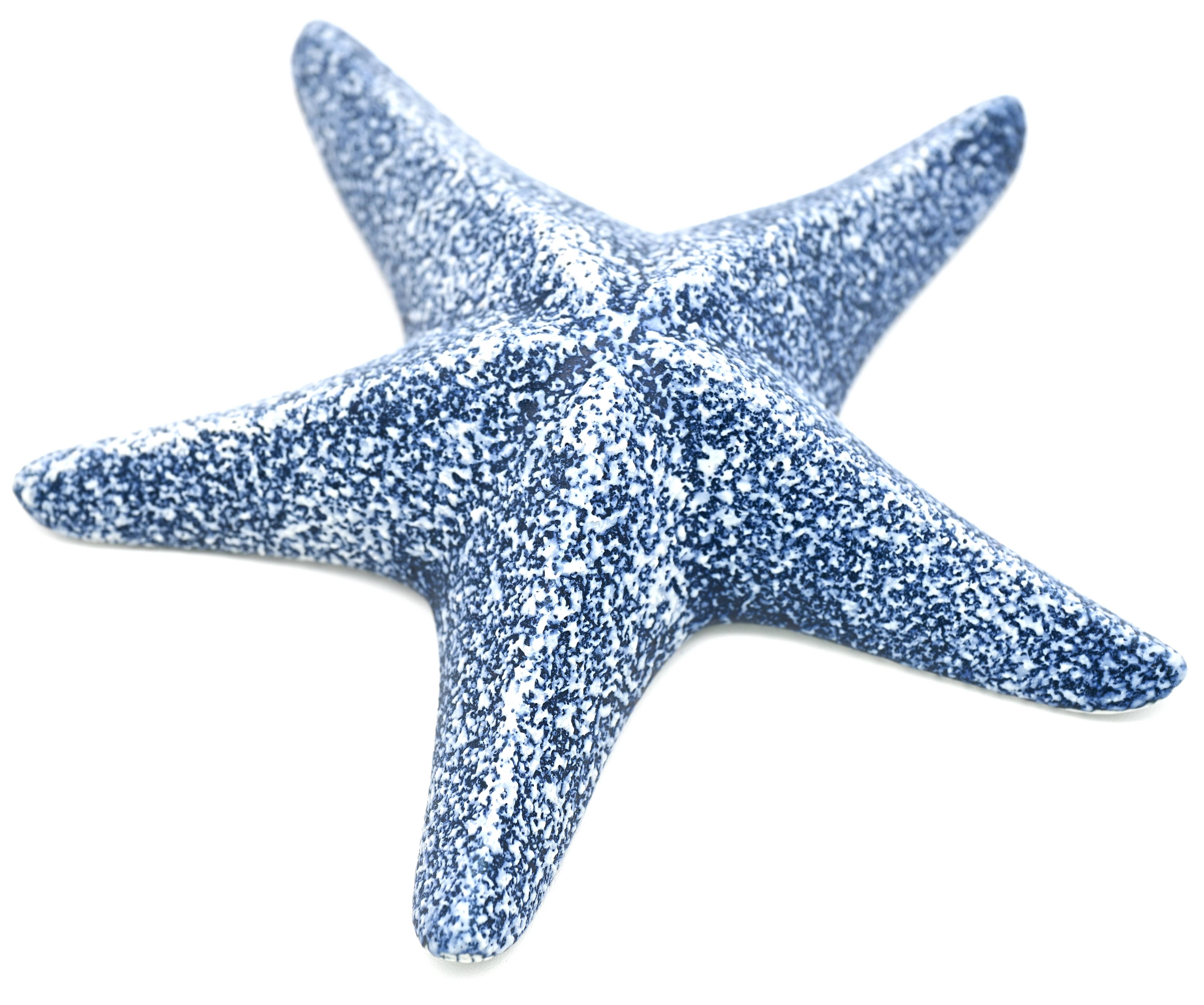 STARFISH – Handcrafted Porcelain Sculpture