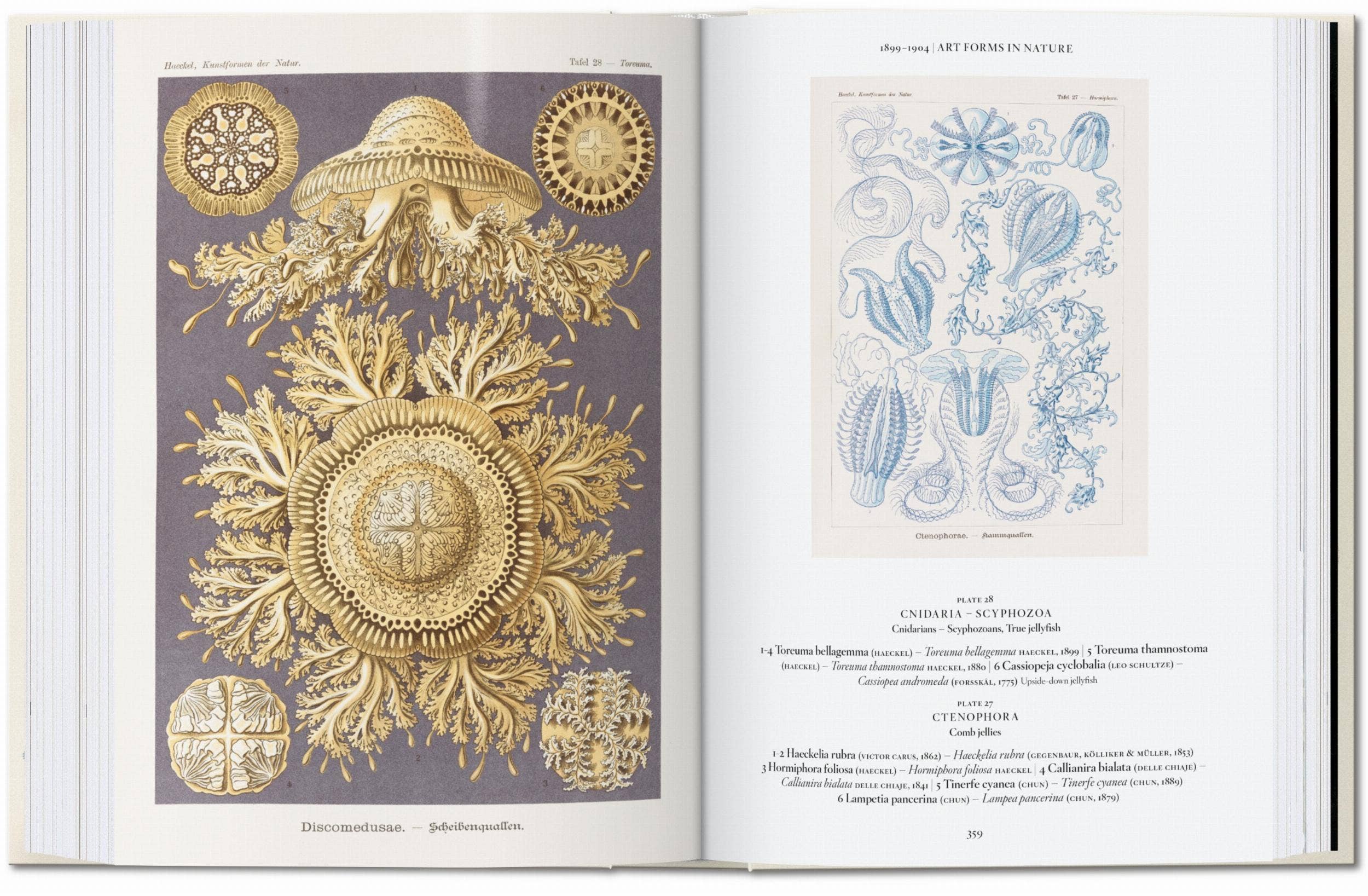 The Art and Science of Ernst Haeckel — 45th Edition