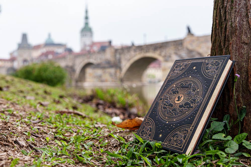Paperblanks Shadows of Navarre Hardcover (Fourth Wing)