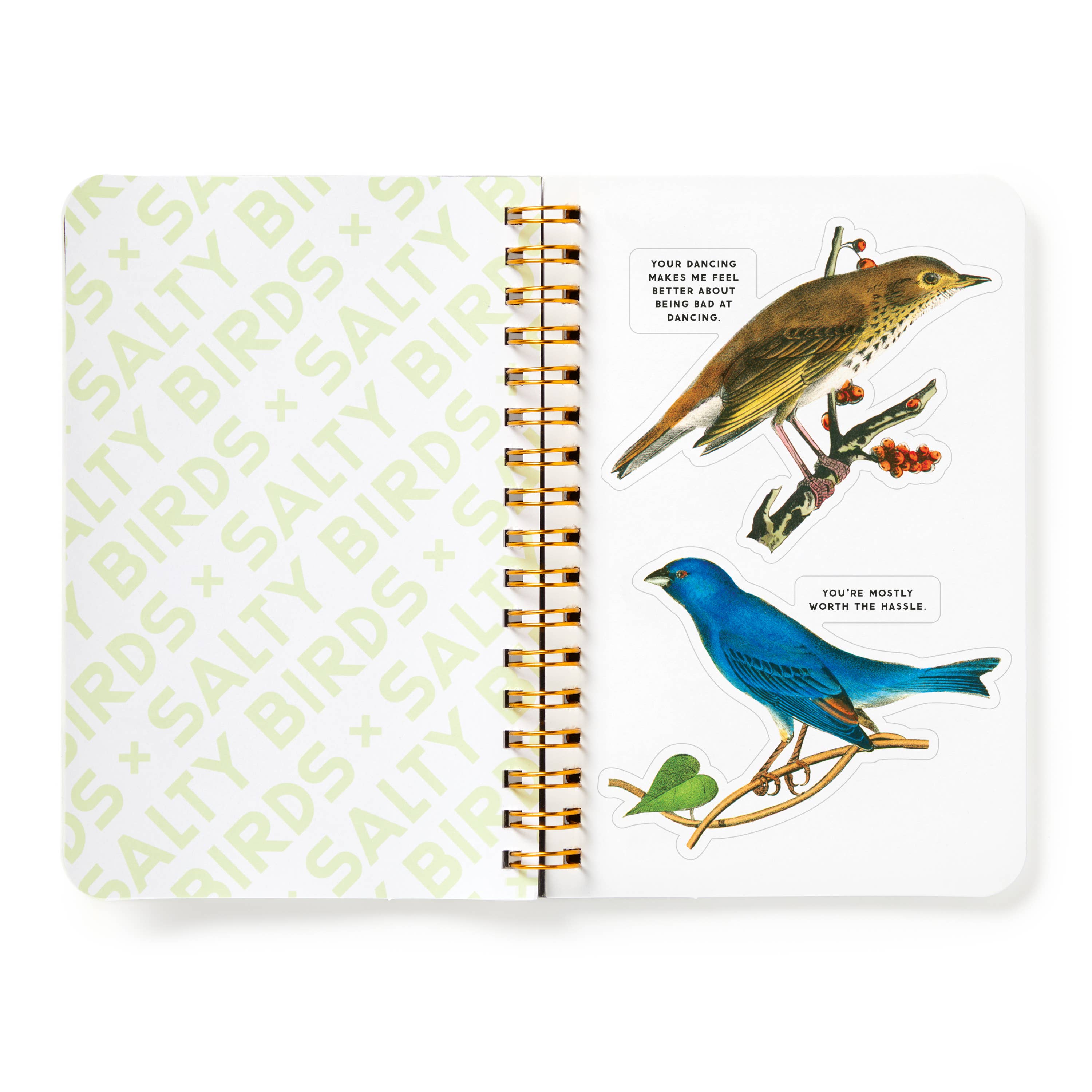 Salty Birds Sticker Book by Brass Monkey