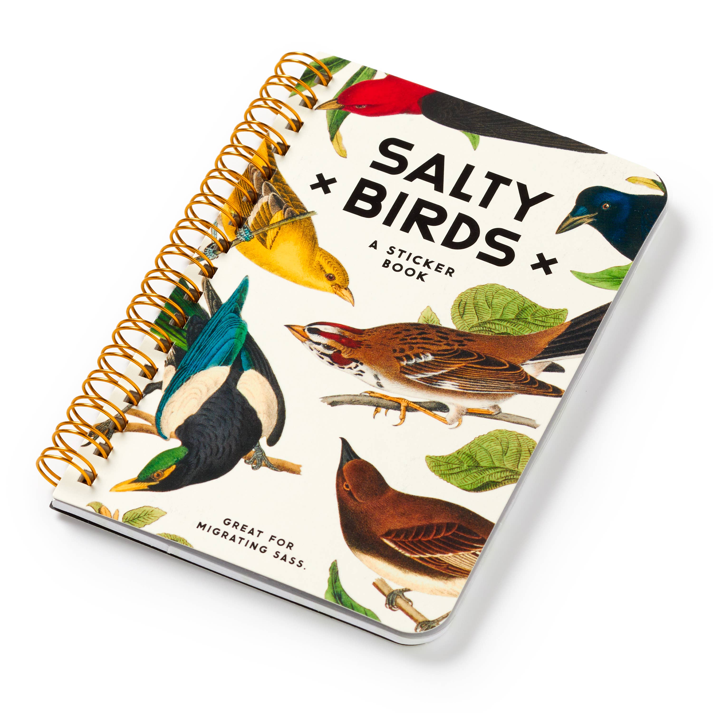 Salty Birds Sticker Book by Brass Monkey