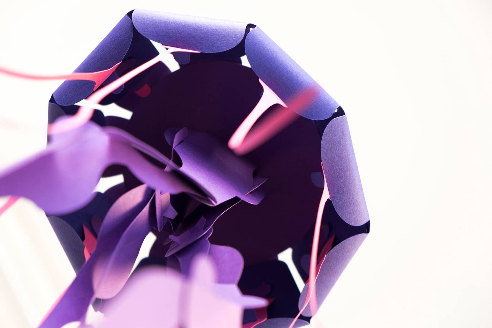 Jellyfish 3D Paper Figure by Plego | Sea Collection | No Glue Needed