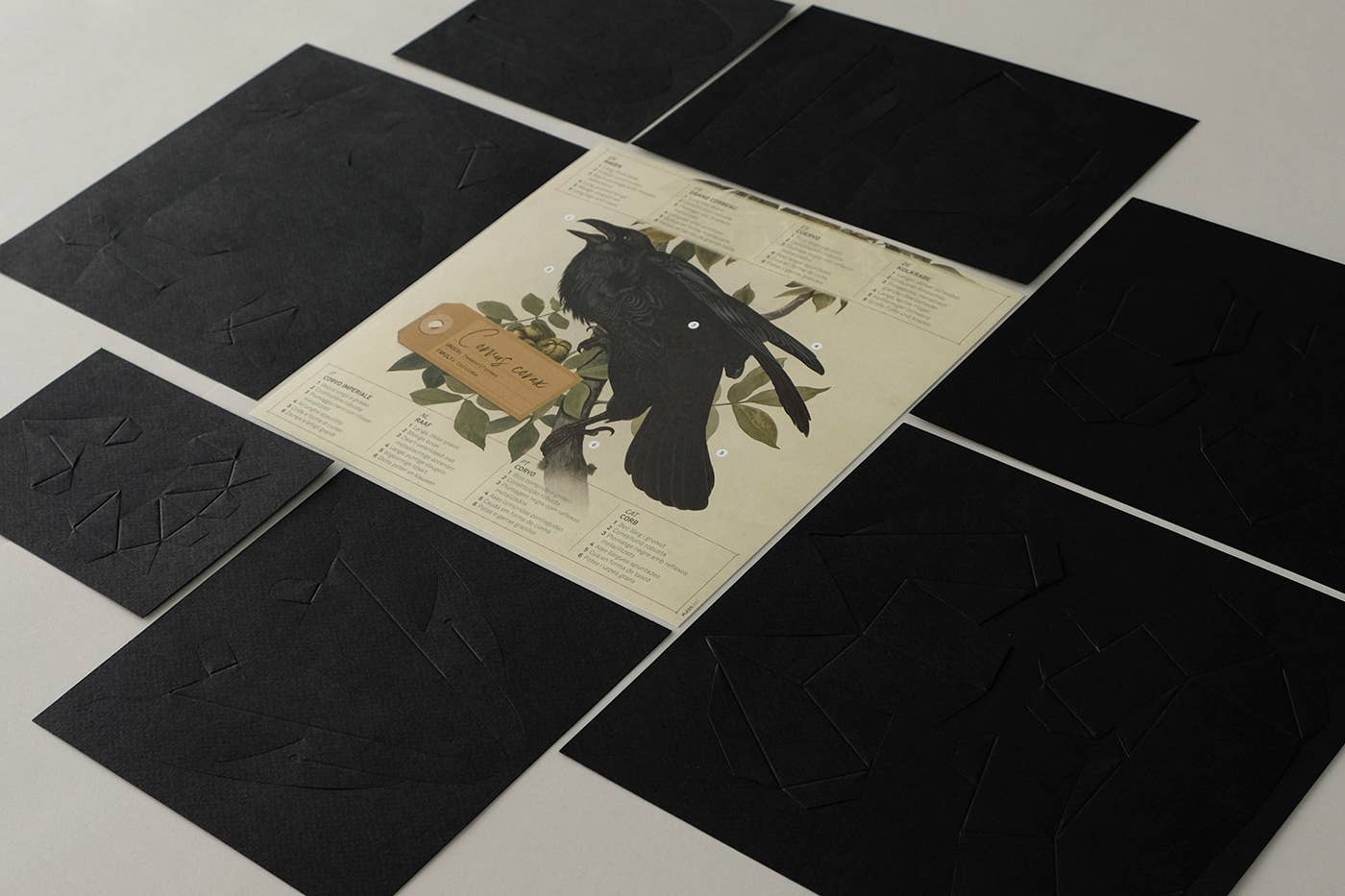 Raven 3D Paper Figure Kit by Plego | Black Paper Bird Model | DIY Craft Kit