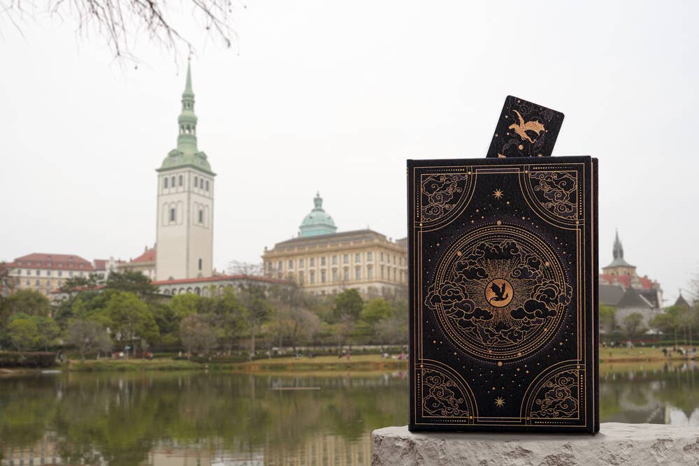 Paperblanks Shadows of Navarre Hardcover (Fourth Wing)