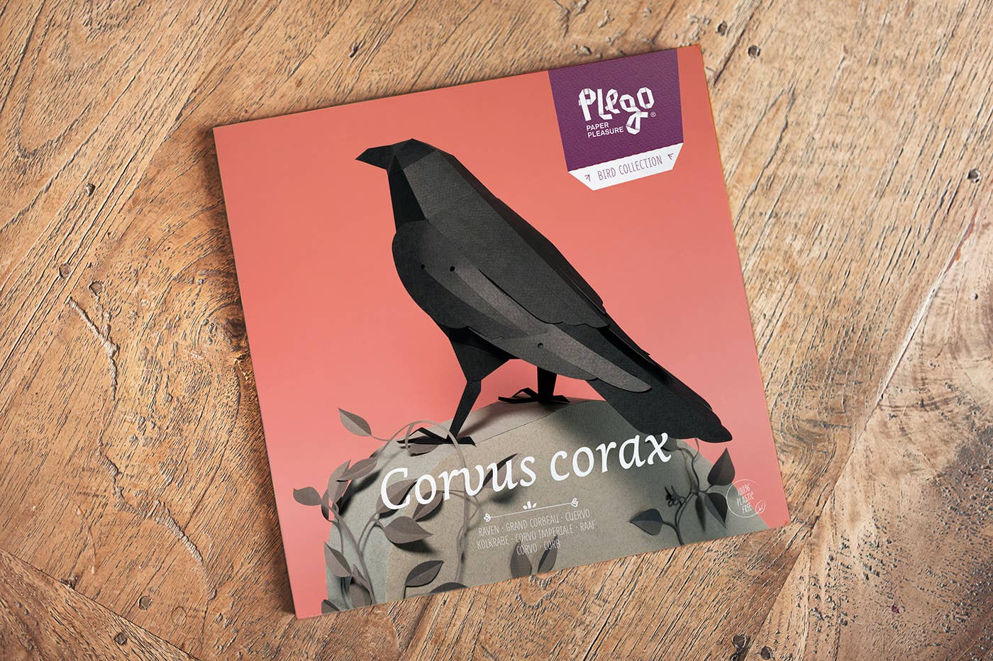 Raven 3D Paper Figure Kit by Plego | Black Paper Bird Model | DIY Craft Kit