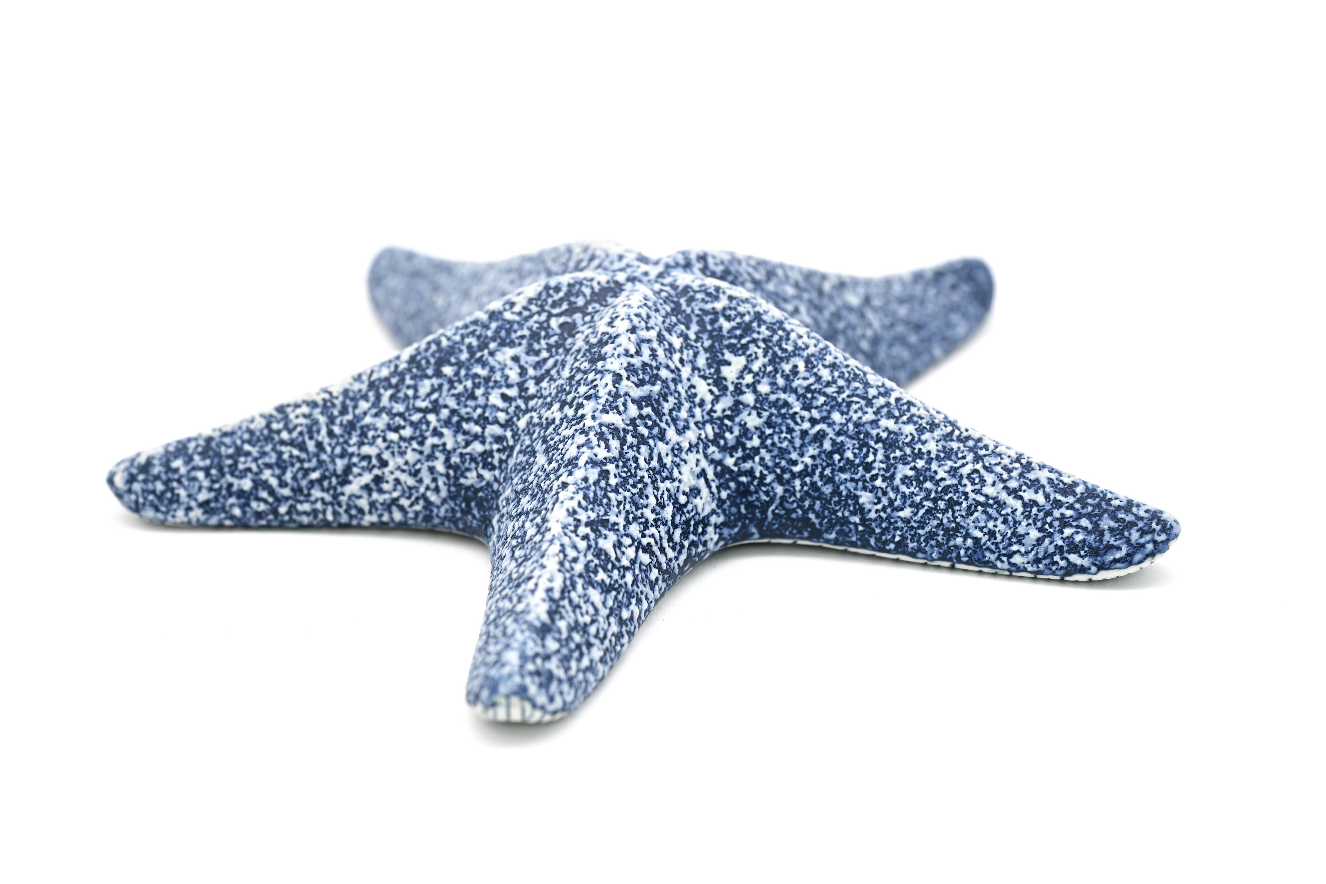 STARFISH – Handcrafted Porcelain Sculpture