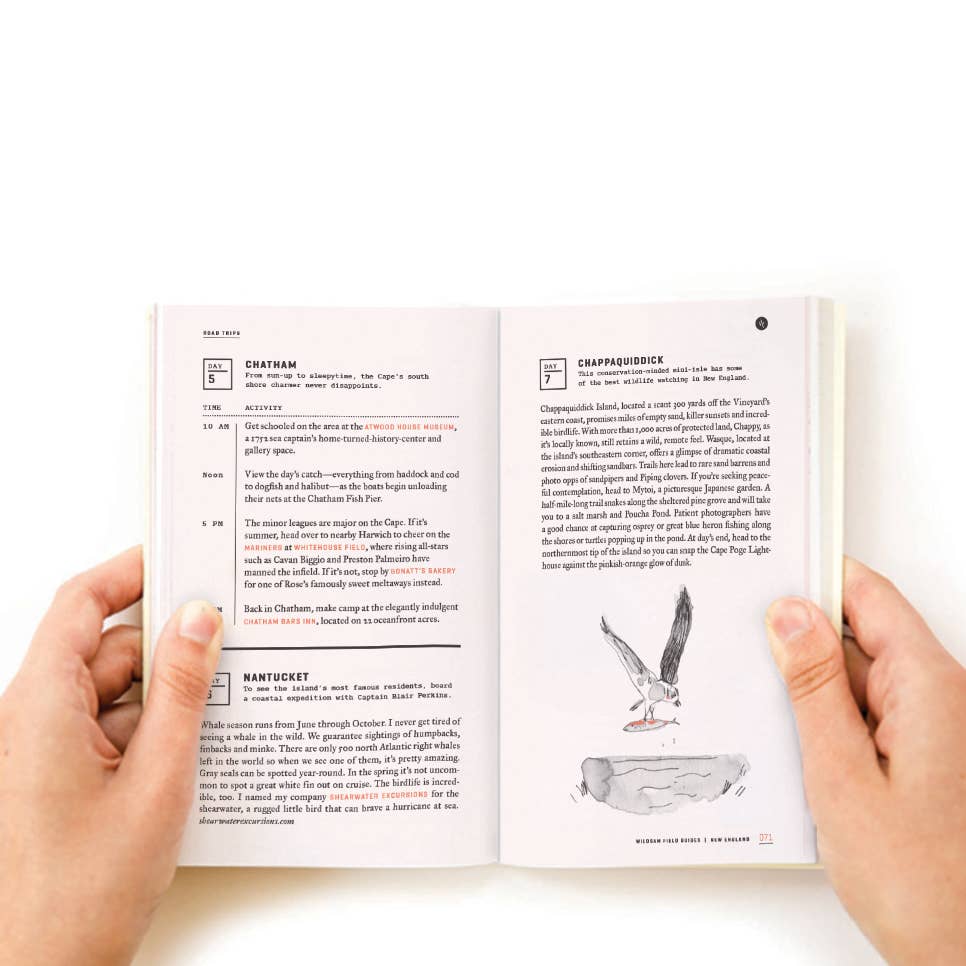 Wildsam New England Road Trip Guide