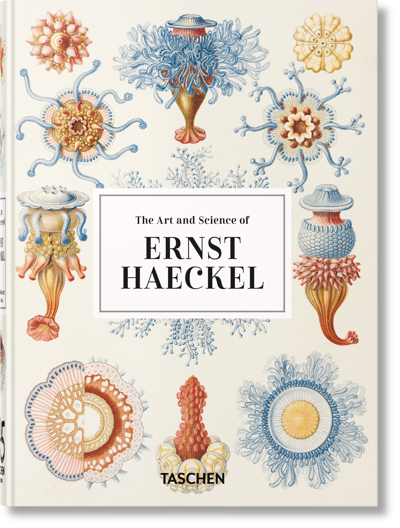 The Art and Science of Ernst Haeckel — 45th Edition