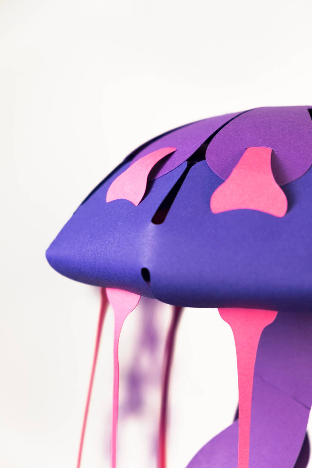 Jellyfish 3D Paper Figure by Plego | Sea Collection | No Glue Needed