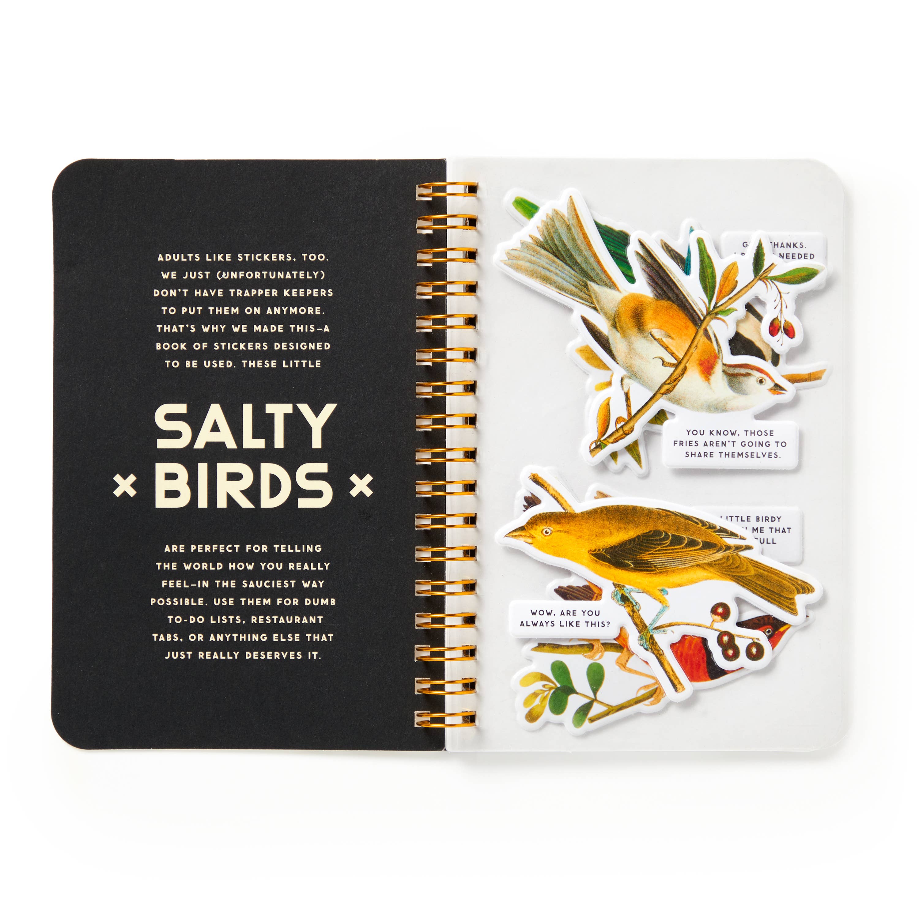 Salty Birds Sticker Book by Brass Monkey