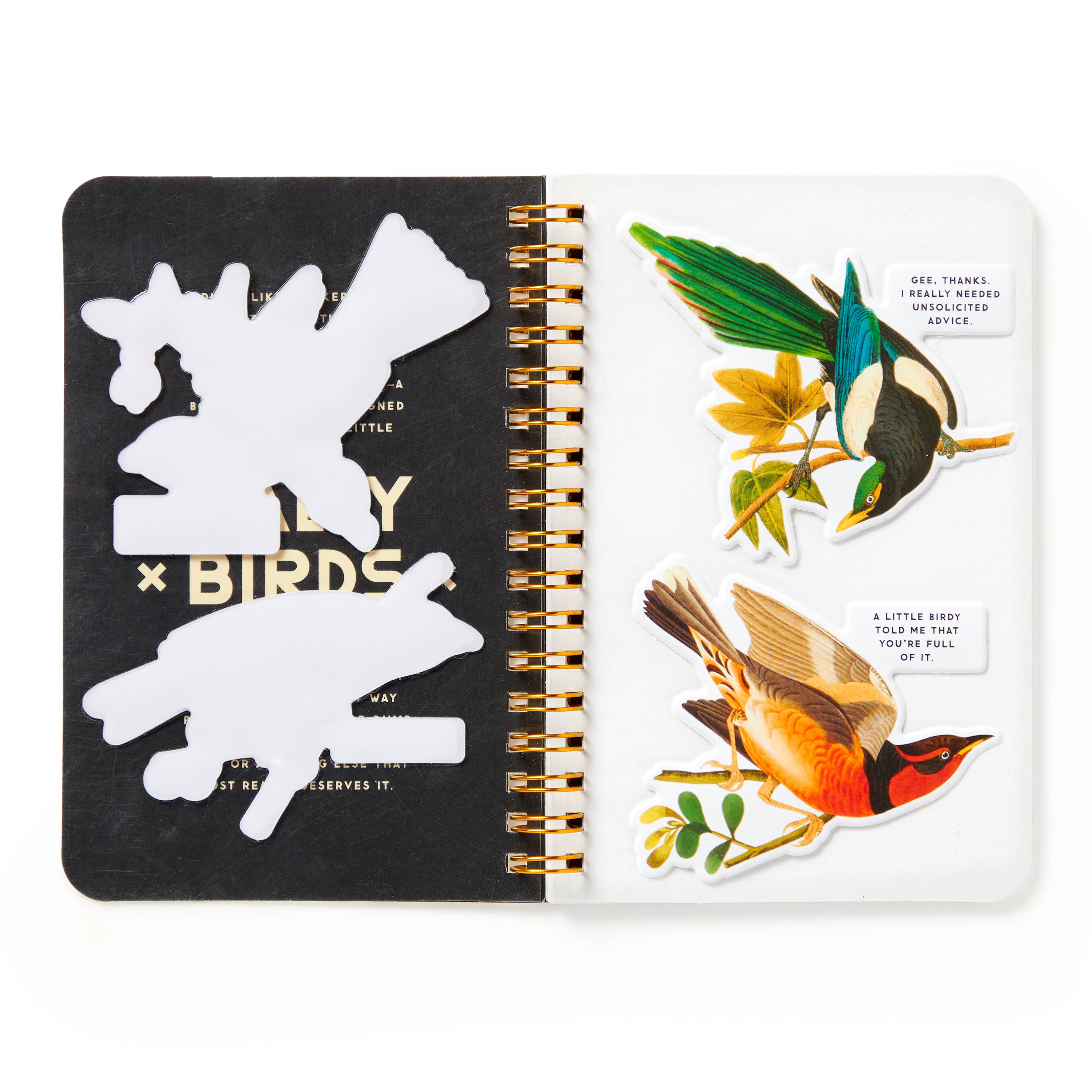 Salty Birds Sticker Book by Brass Monkey