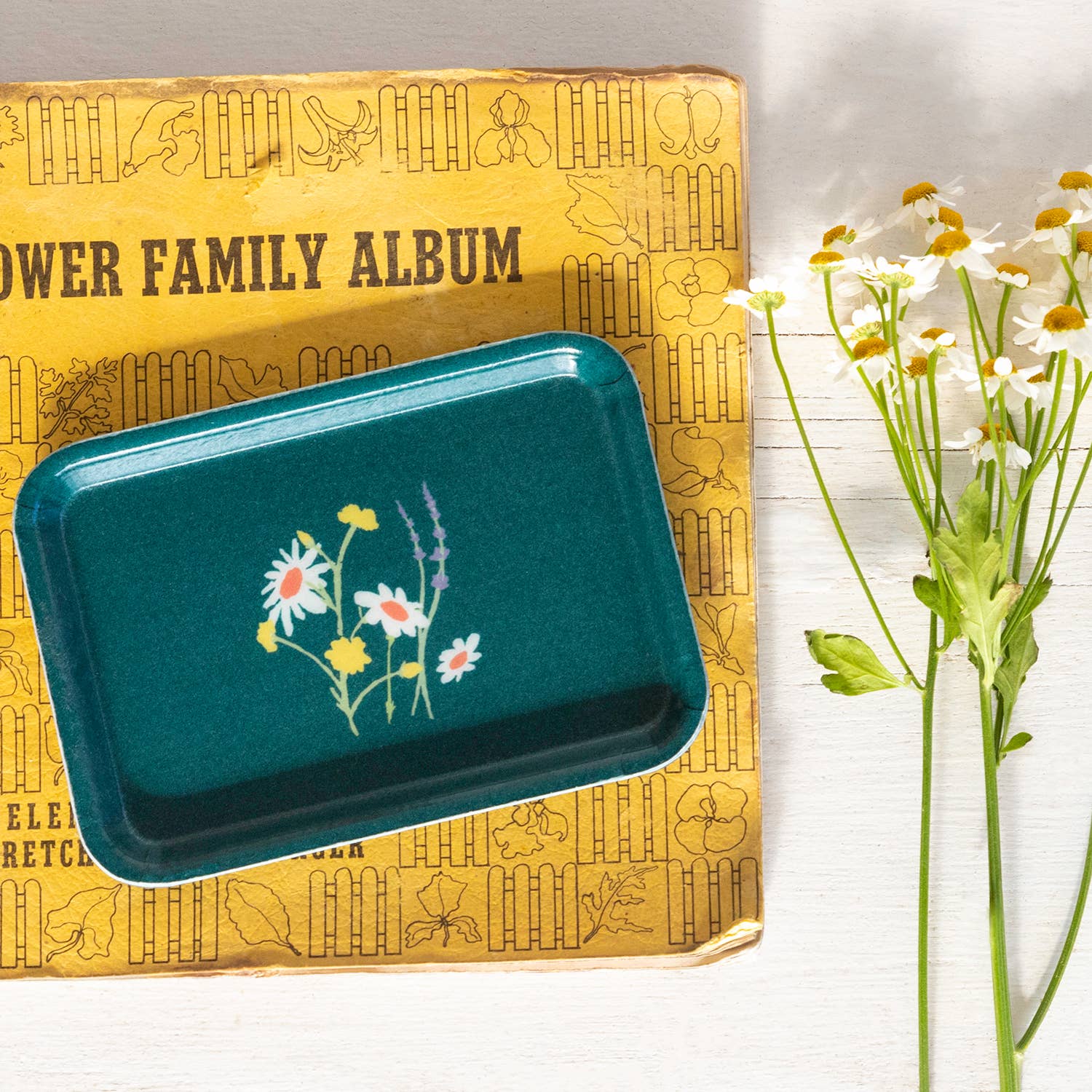 Small Trinket Tray – Prairie