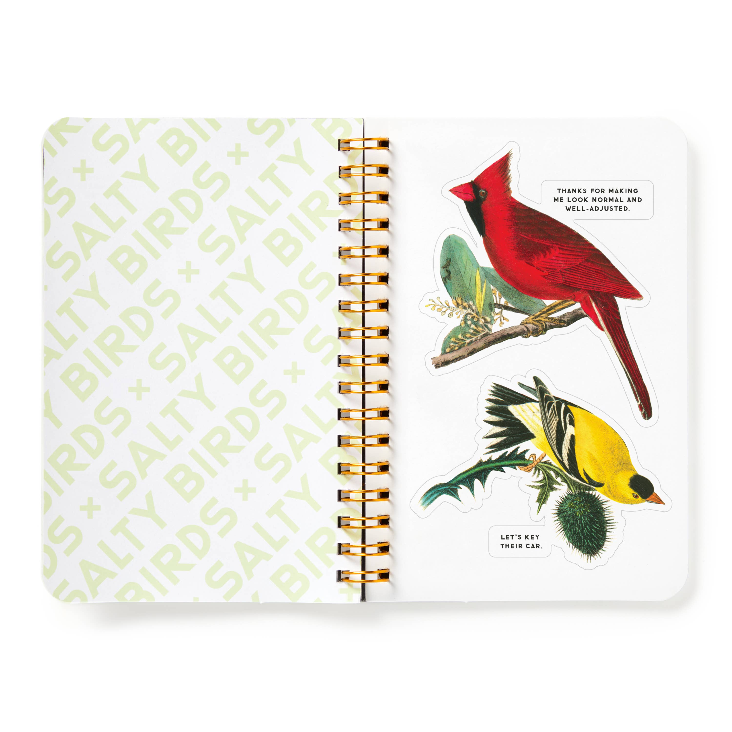 Salty Birds Sticker Book by Brass Monkey