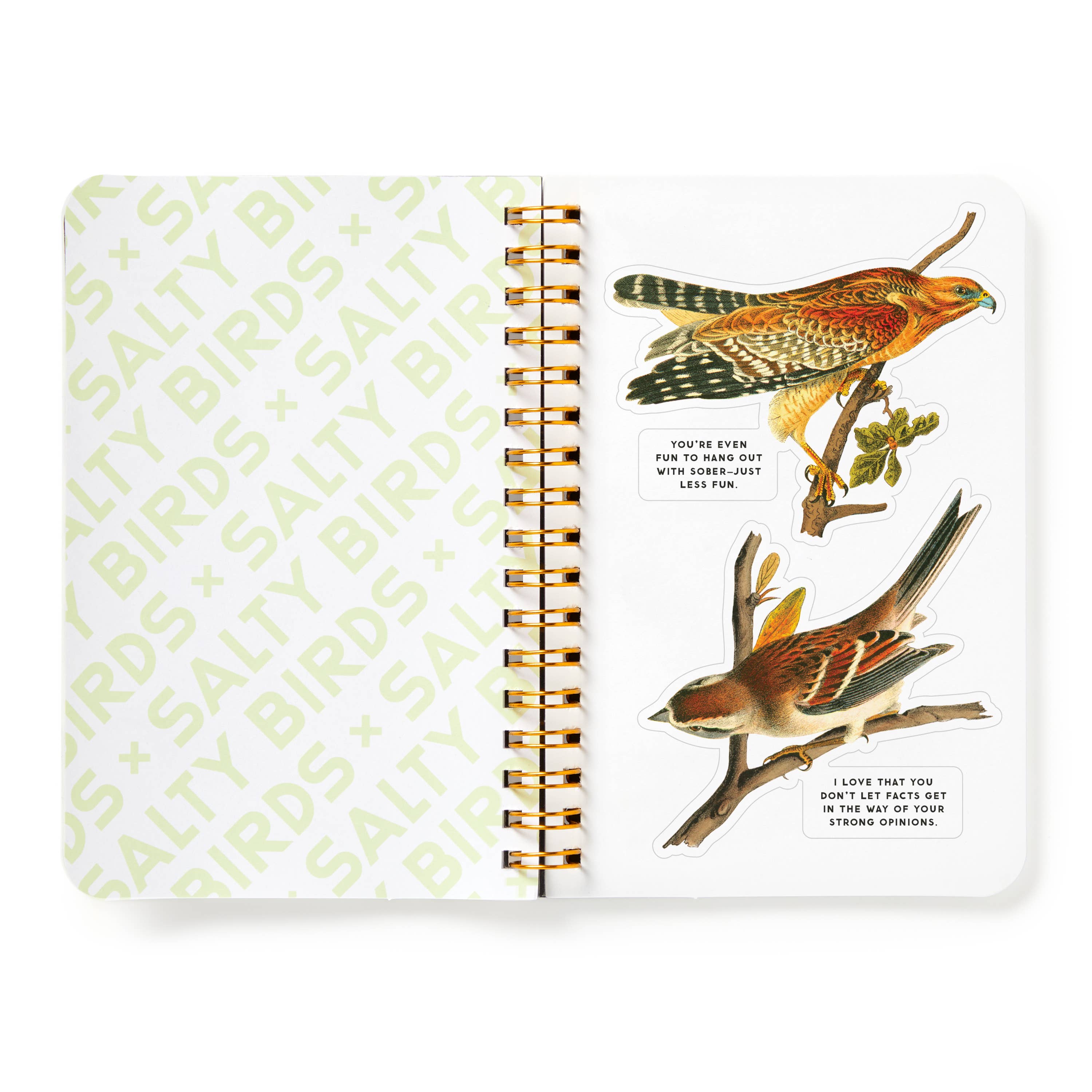 Salty Birds Sticker Book by Brass Monkey