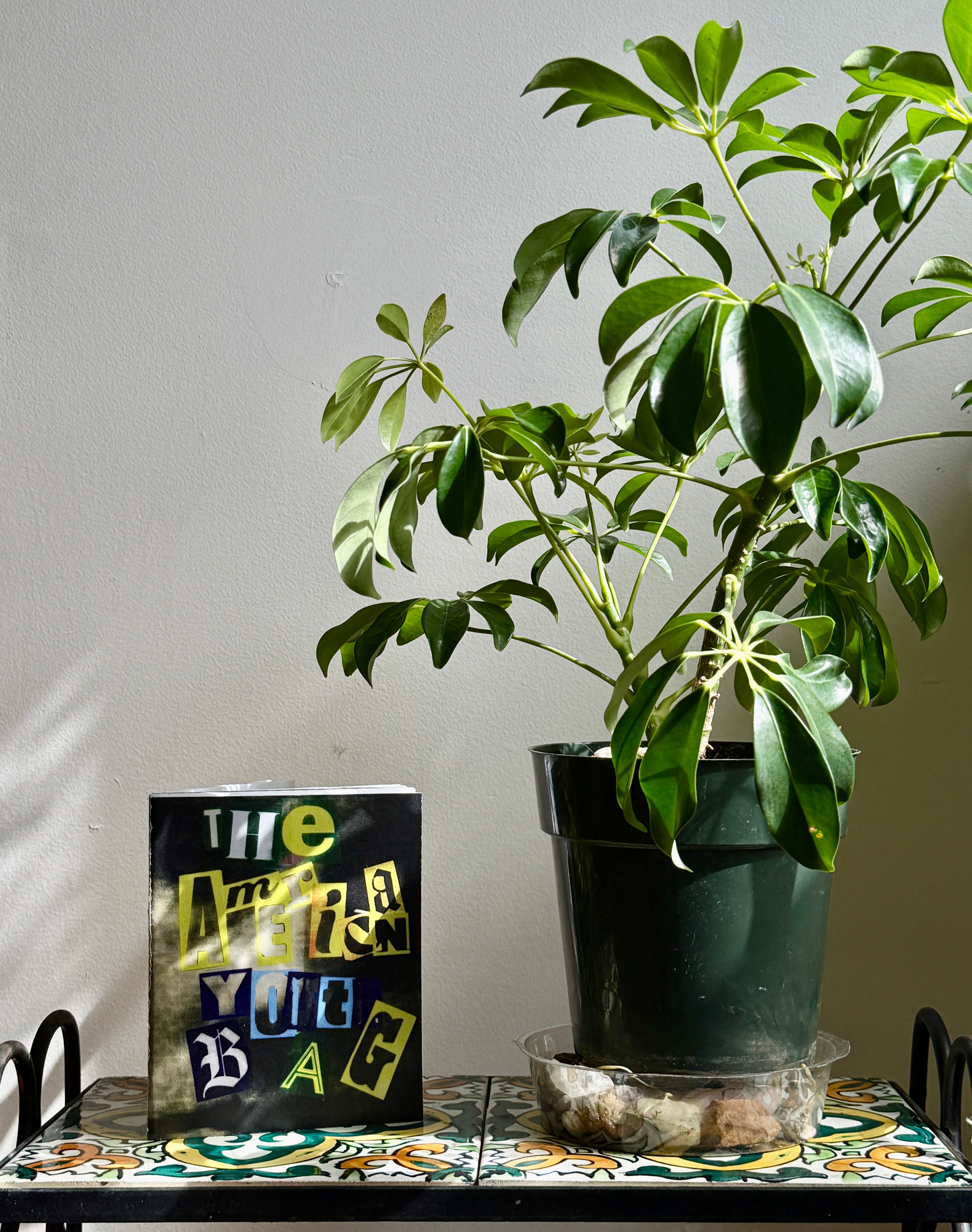 The American Youth Bag Zine Catalogue