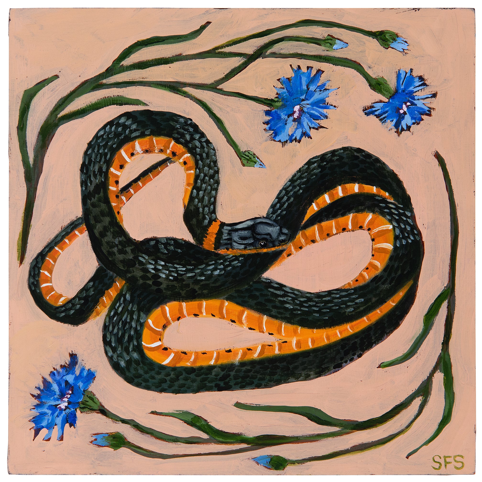 Snake with cornflowers - Sarah Steedman