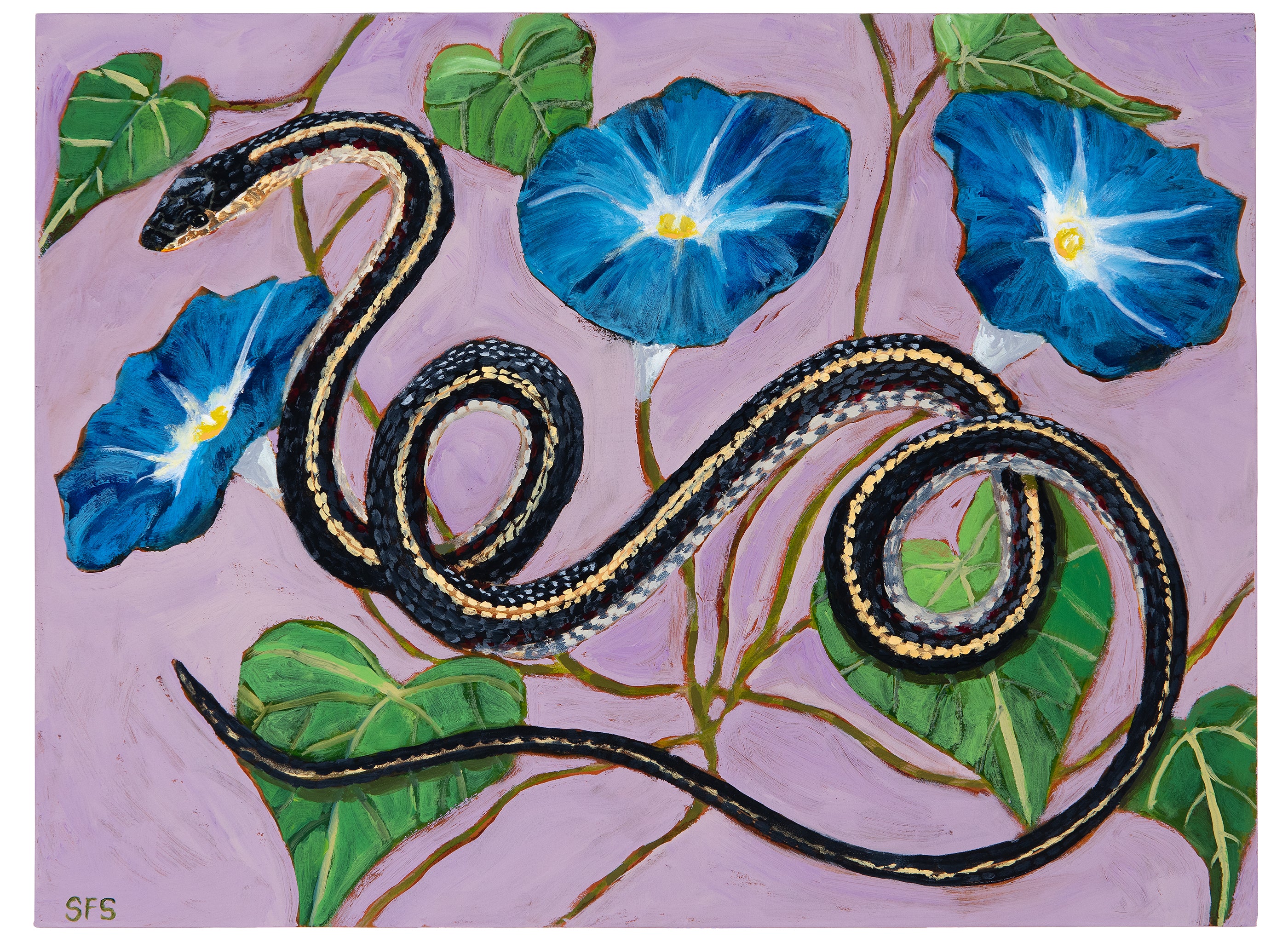 Snake with Morning Glories - Sarah Steedman
