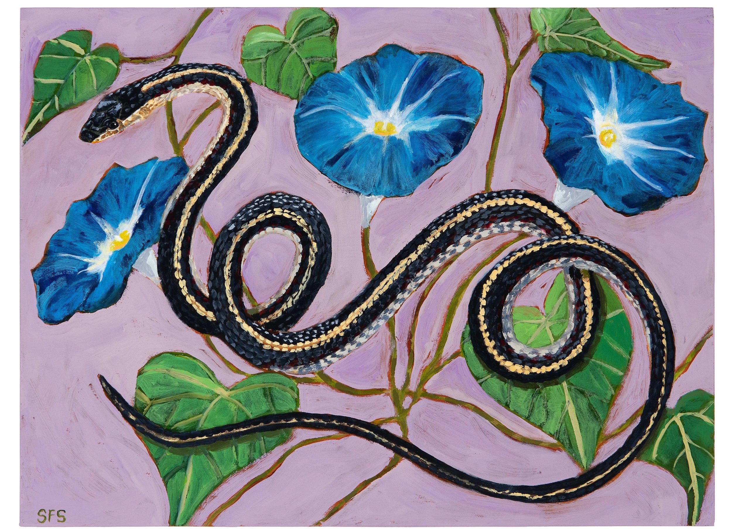 Garter Snake and Heavenly Blue Morning Glory - Sarah Steedman