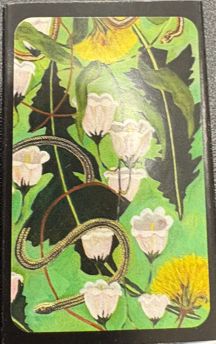 Sarah Steedman - Matchbooks Assorted Designs