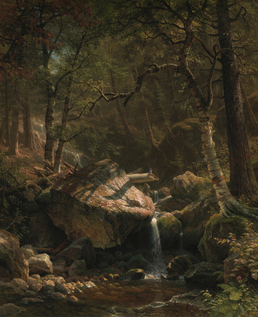 Albert Bierstadt – Mountain Brook