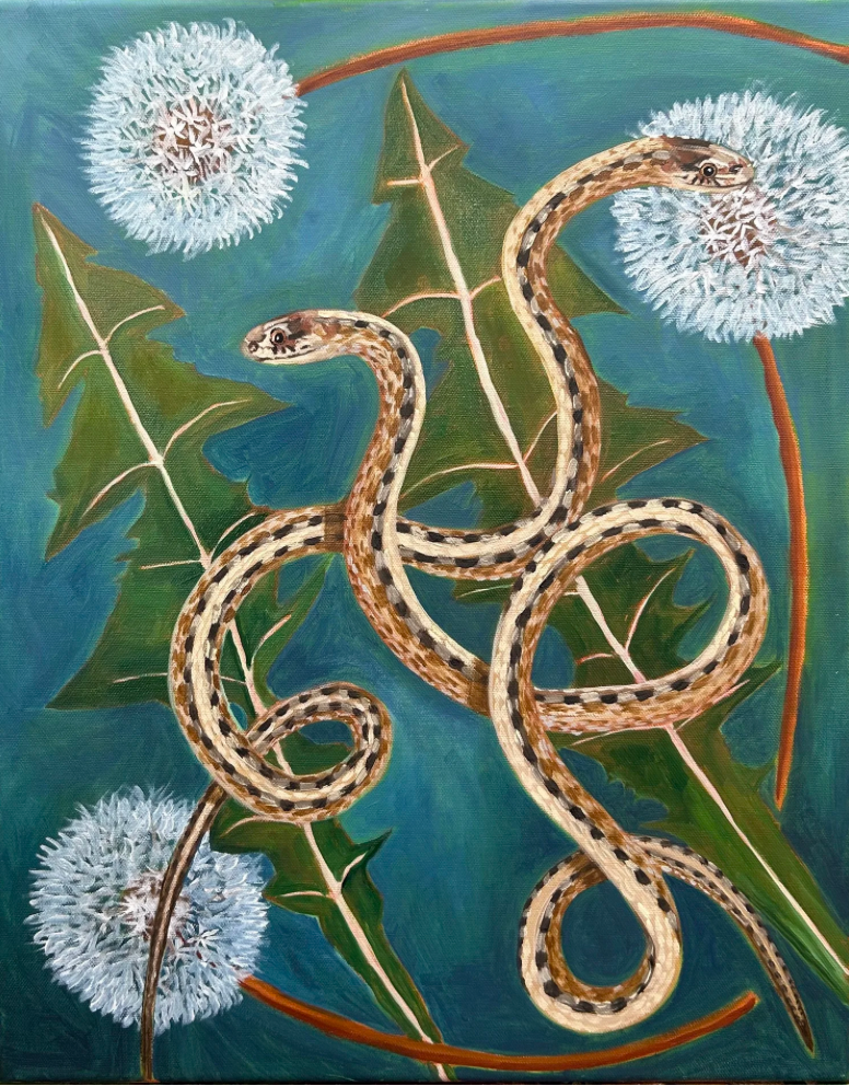 Dandelions and DeKays Brown Snakes - Sarah Steedman