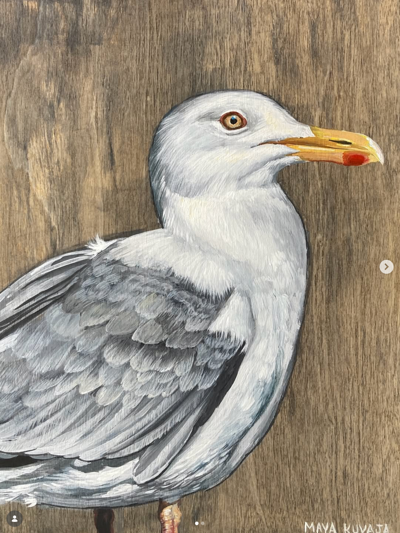 Herring Gull - Maya Kuvaja