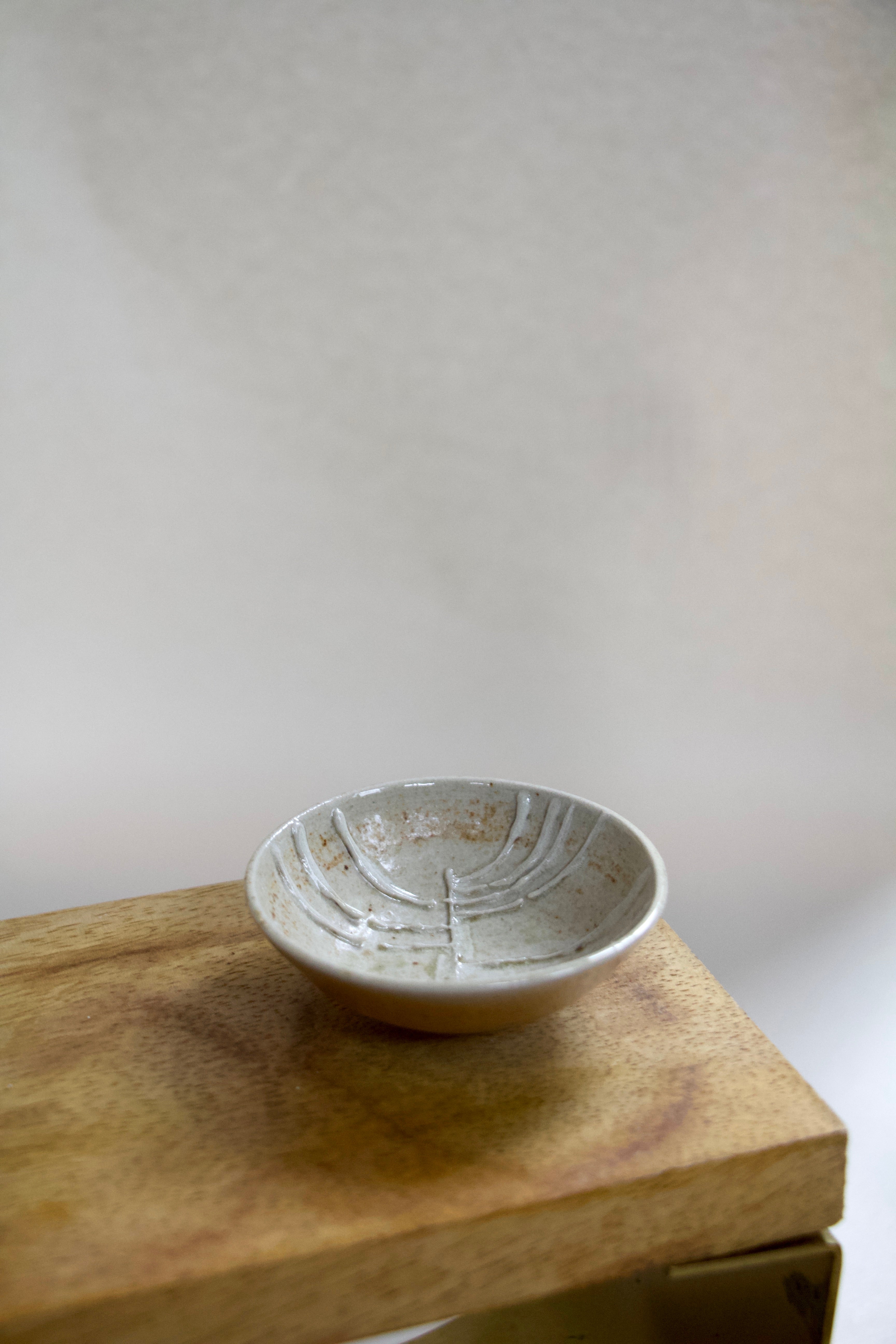 Leyli Johnson - Tree Salt Bowl