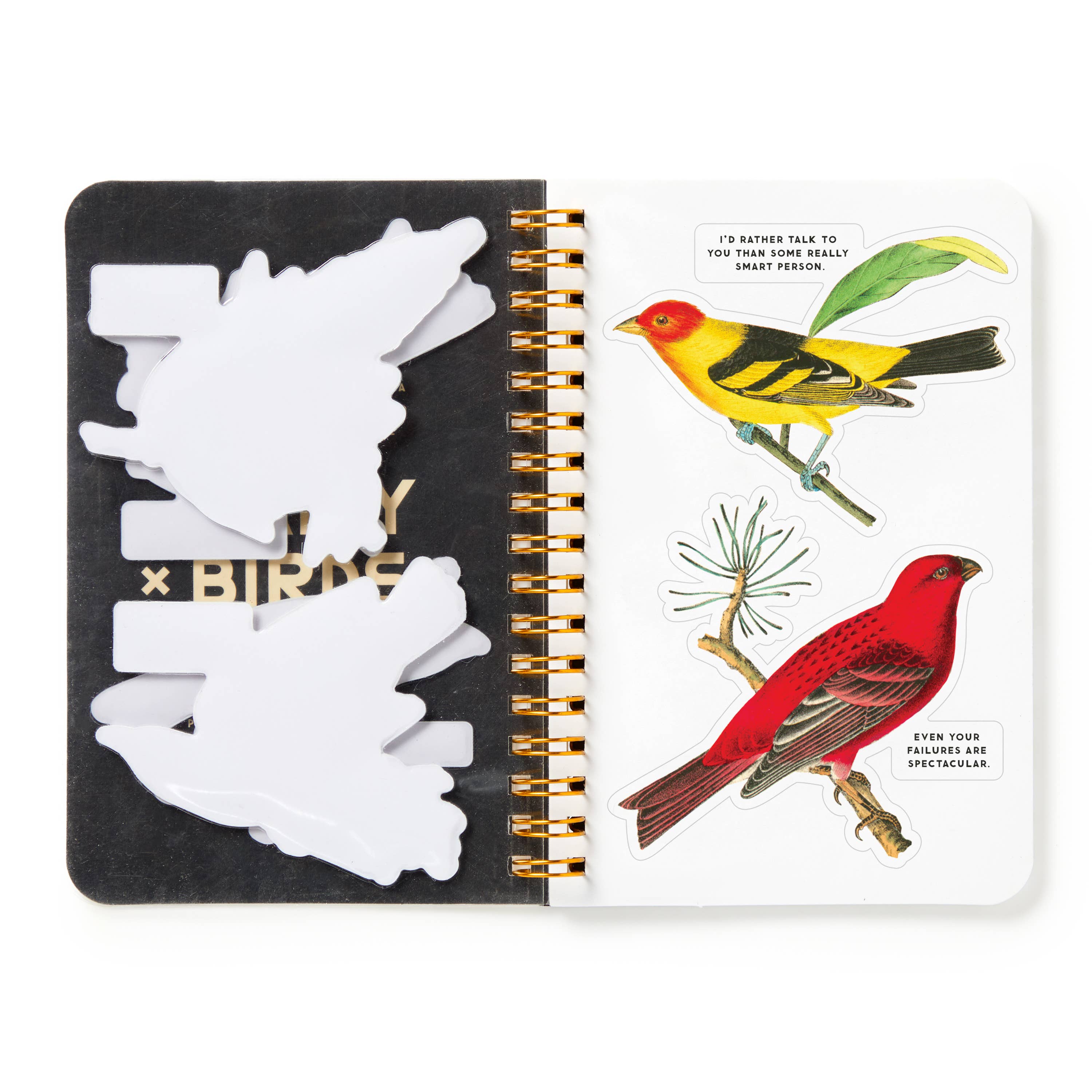 Salty Birds Sticker Book by Brass Monkey