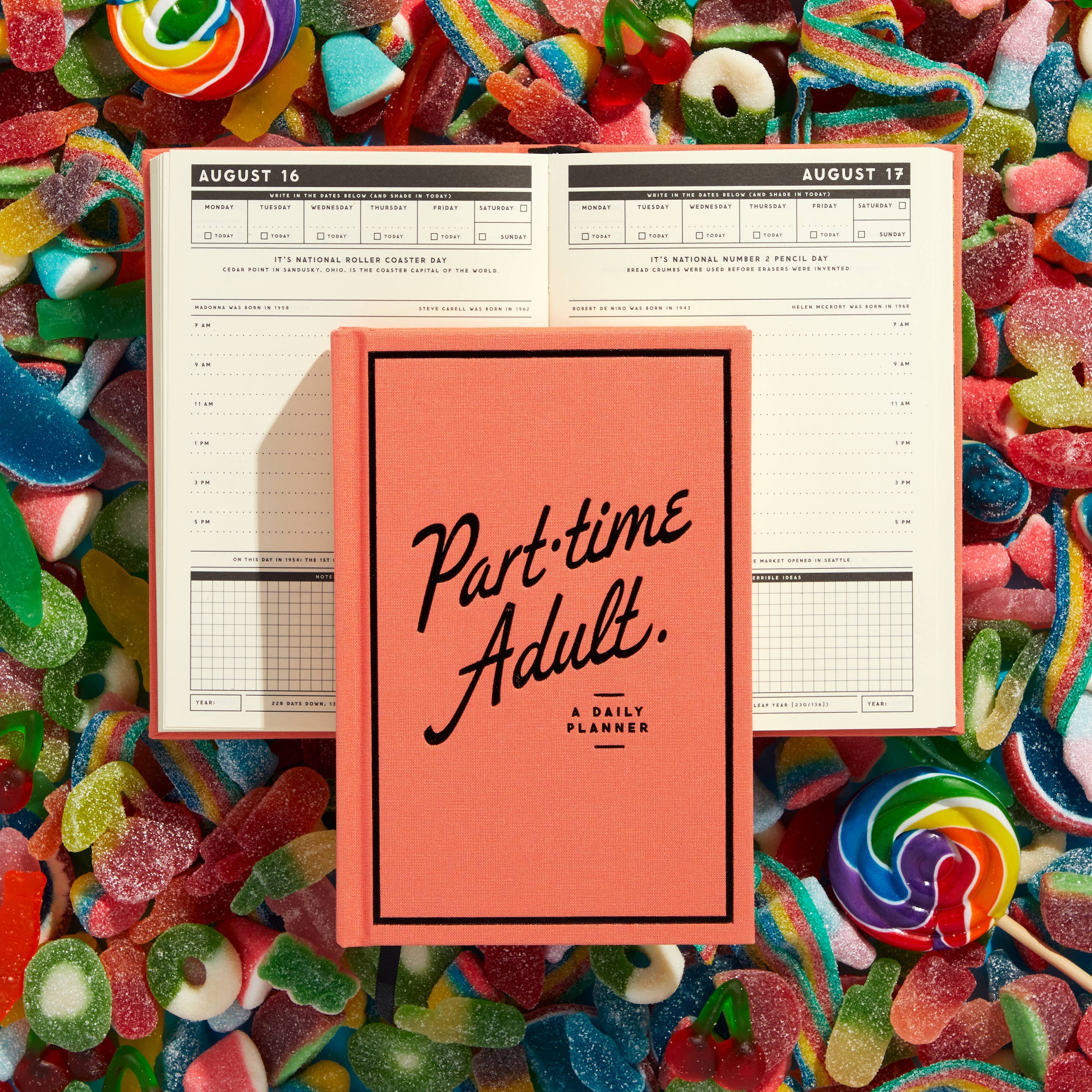 Brass Monkey “Part-Time Adult” Undated Daily Planner