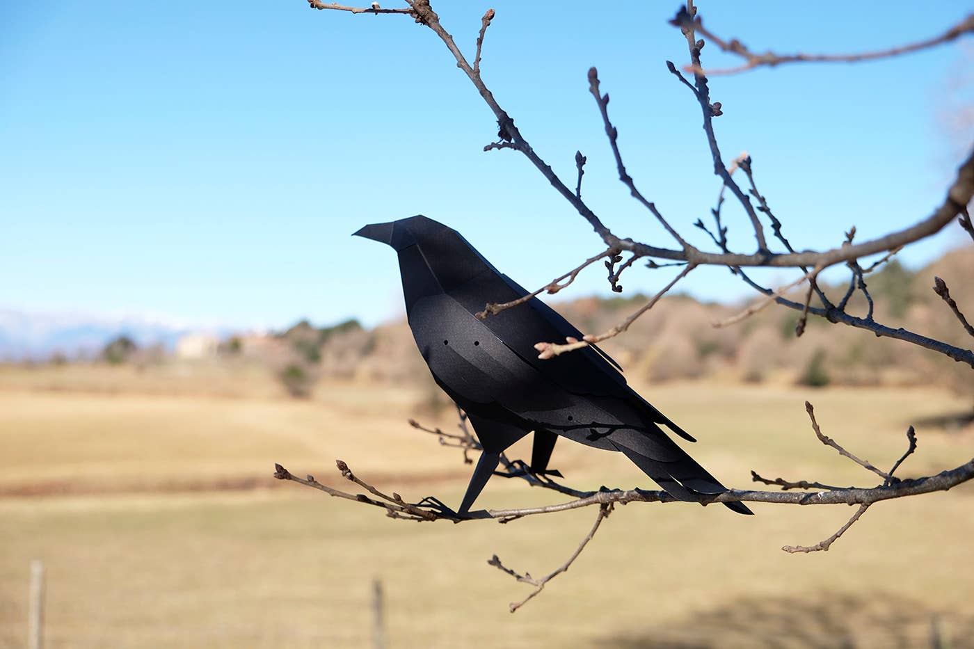 Raven 3D Paper Figure Kit by Plego | Black Paper Bird Model | DIY Craft Kit