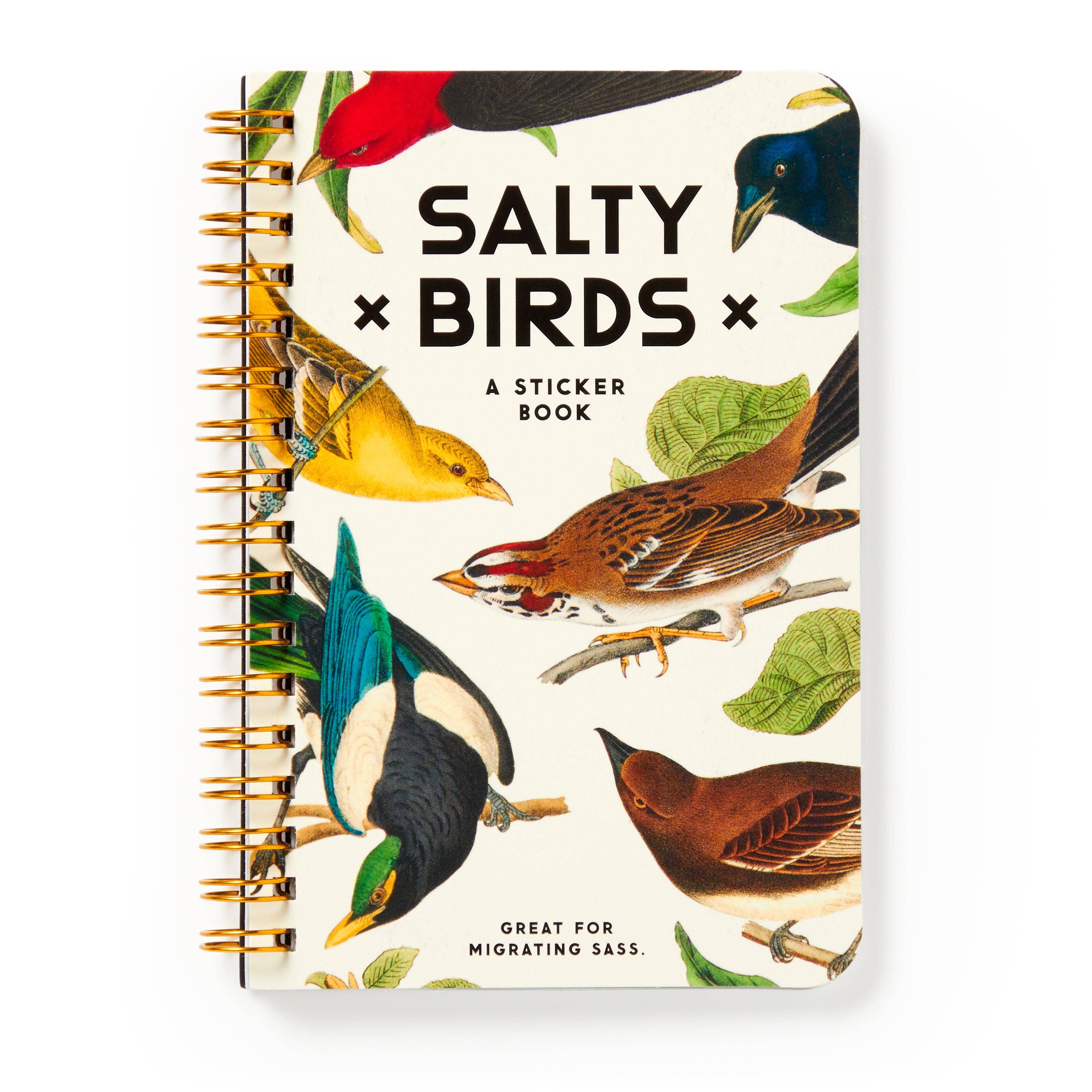 Salty Birds Sticker Book by Brass Monkey