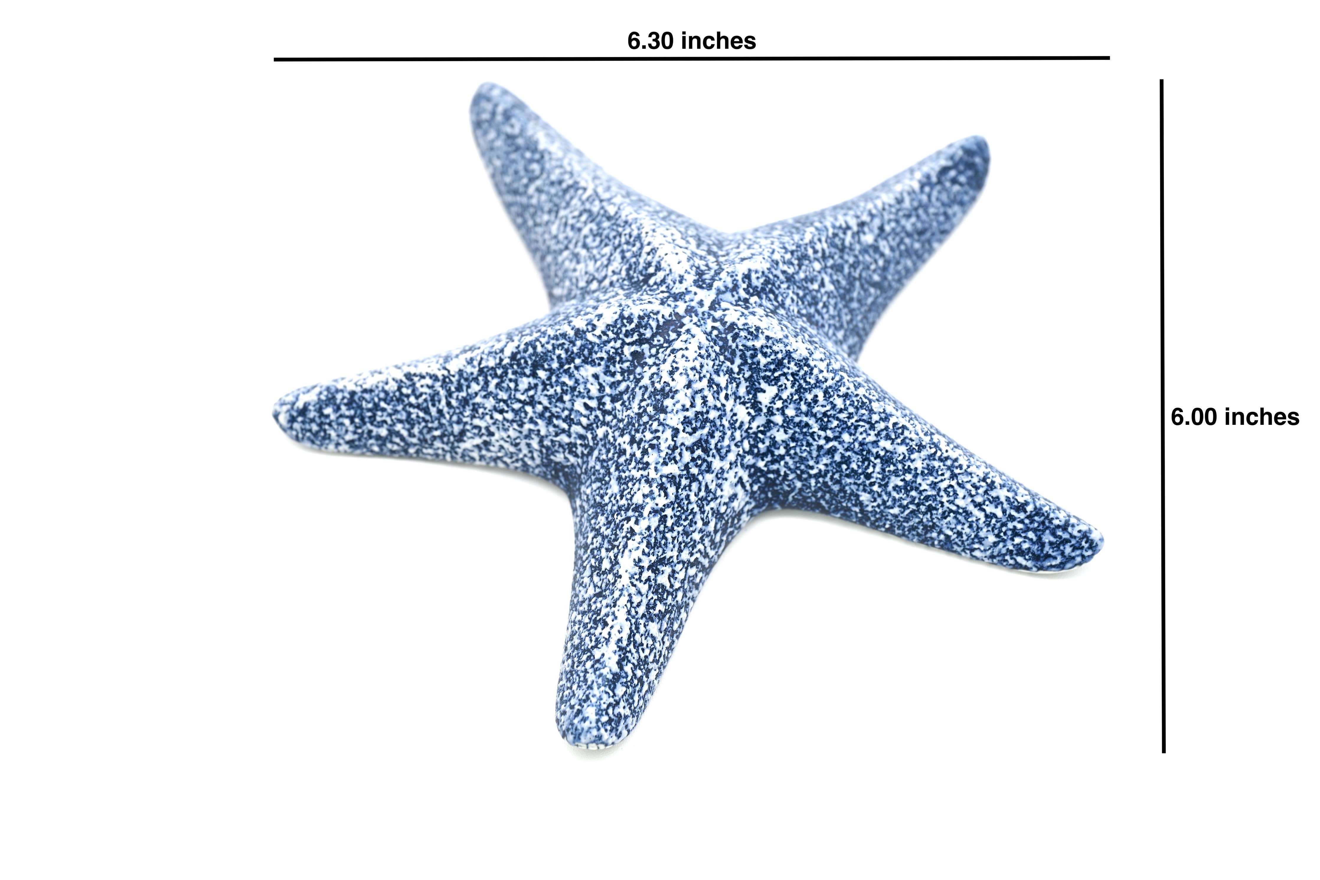 STARFISH – Handcrafted Porcelain Sculpture