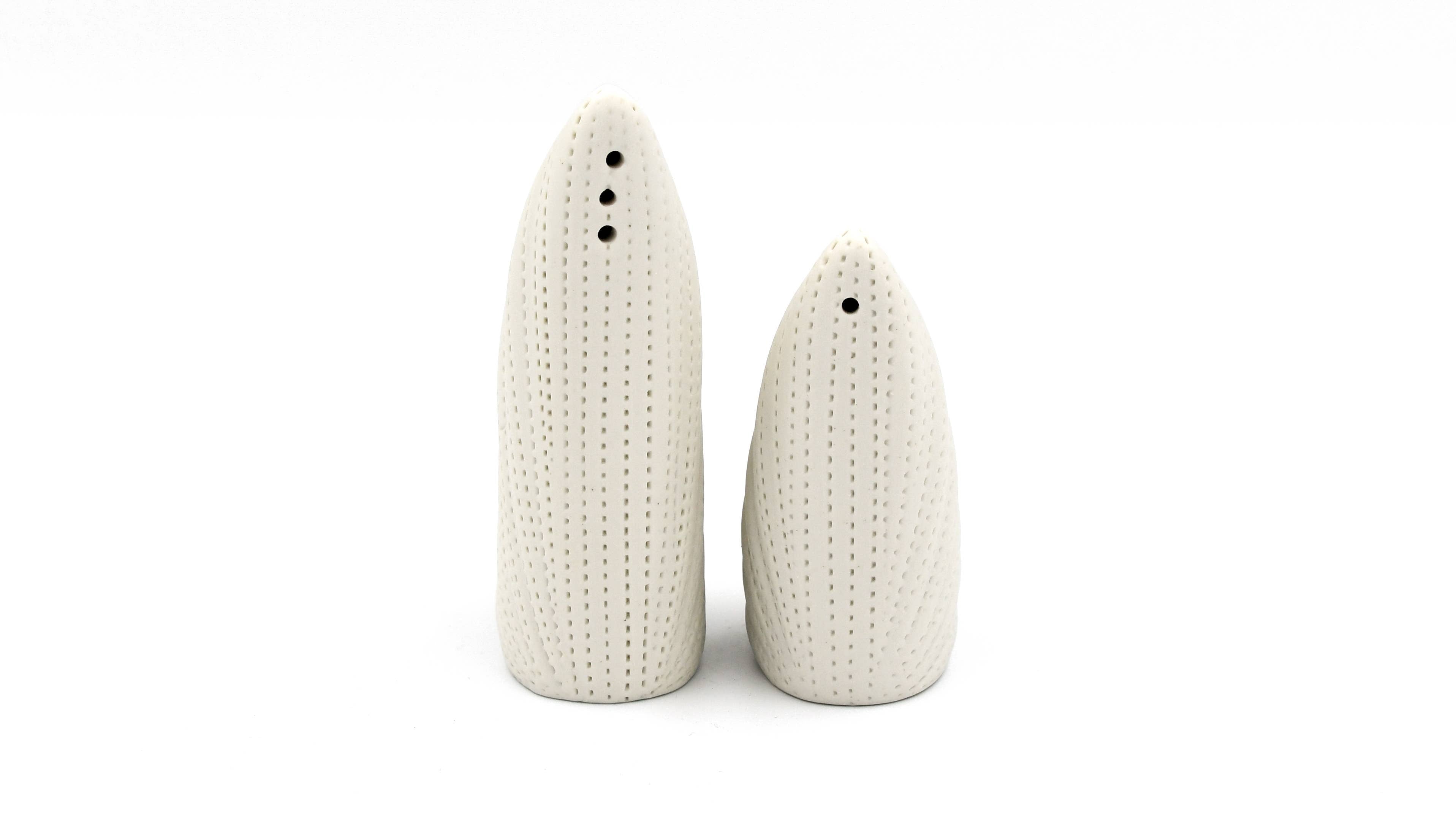 Handcrafted Porcelain Salt and Pepper Shaker Set
