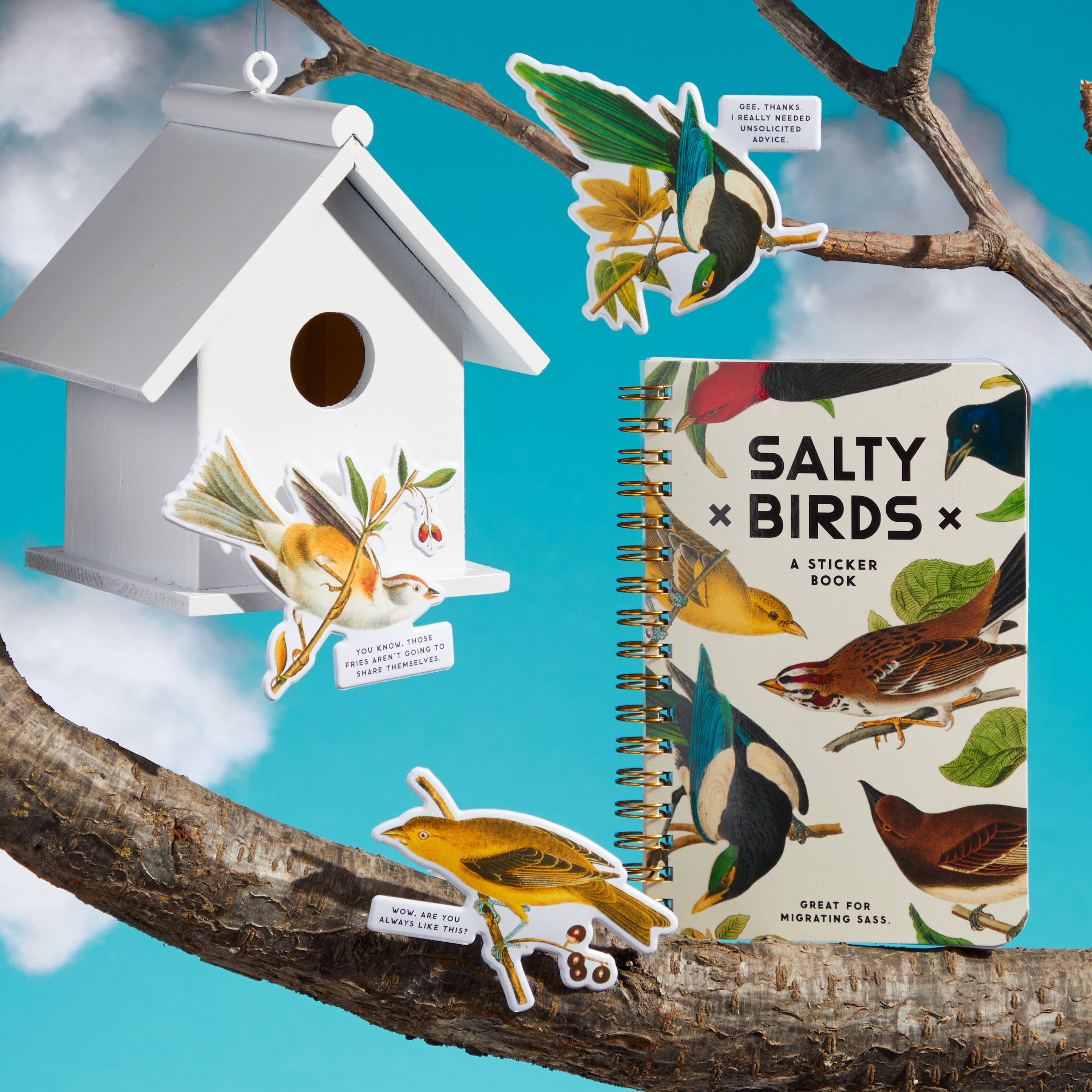 Salty Birds Sticker Book by Brass Monkey