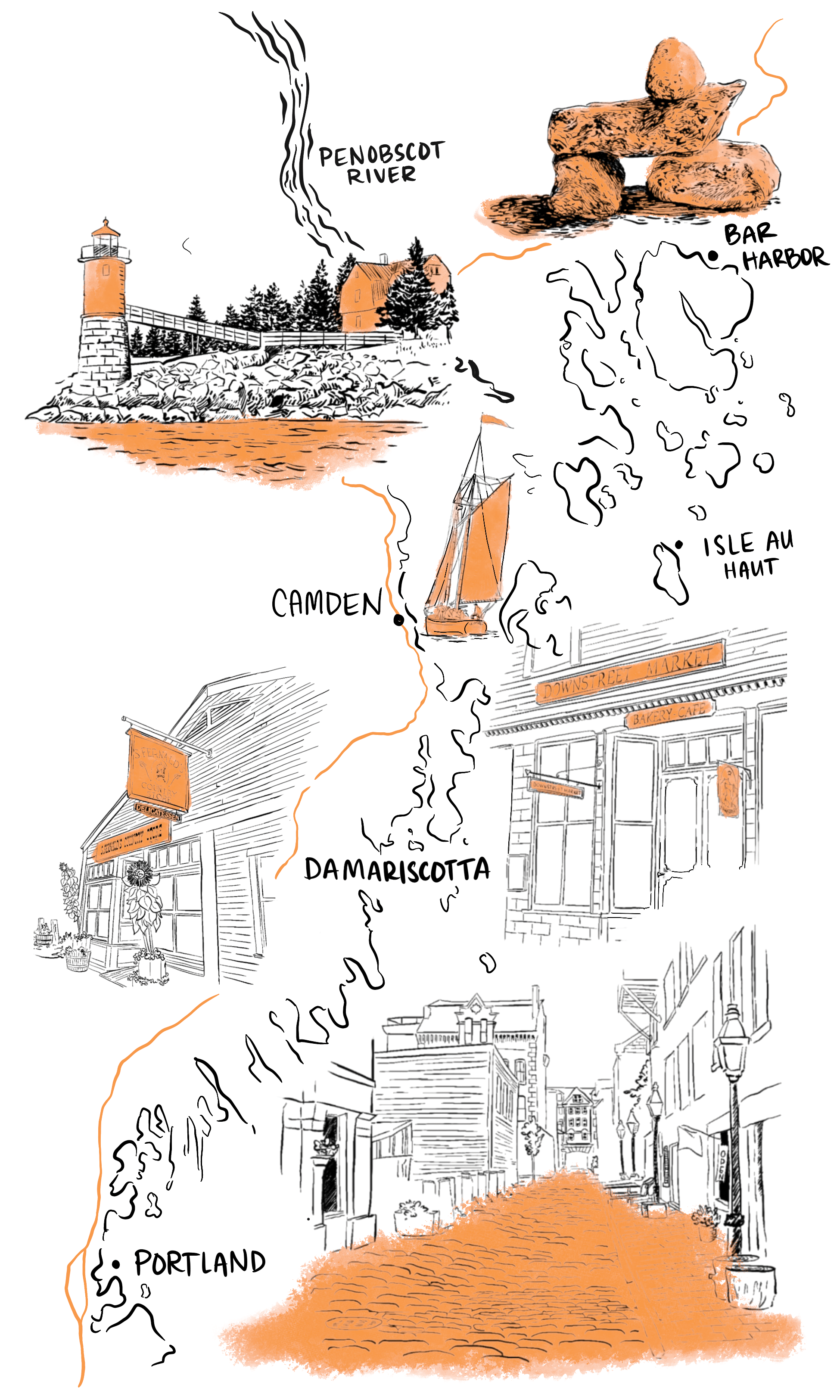 Maine Coast Field Guide Book