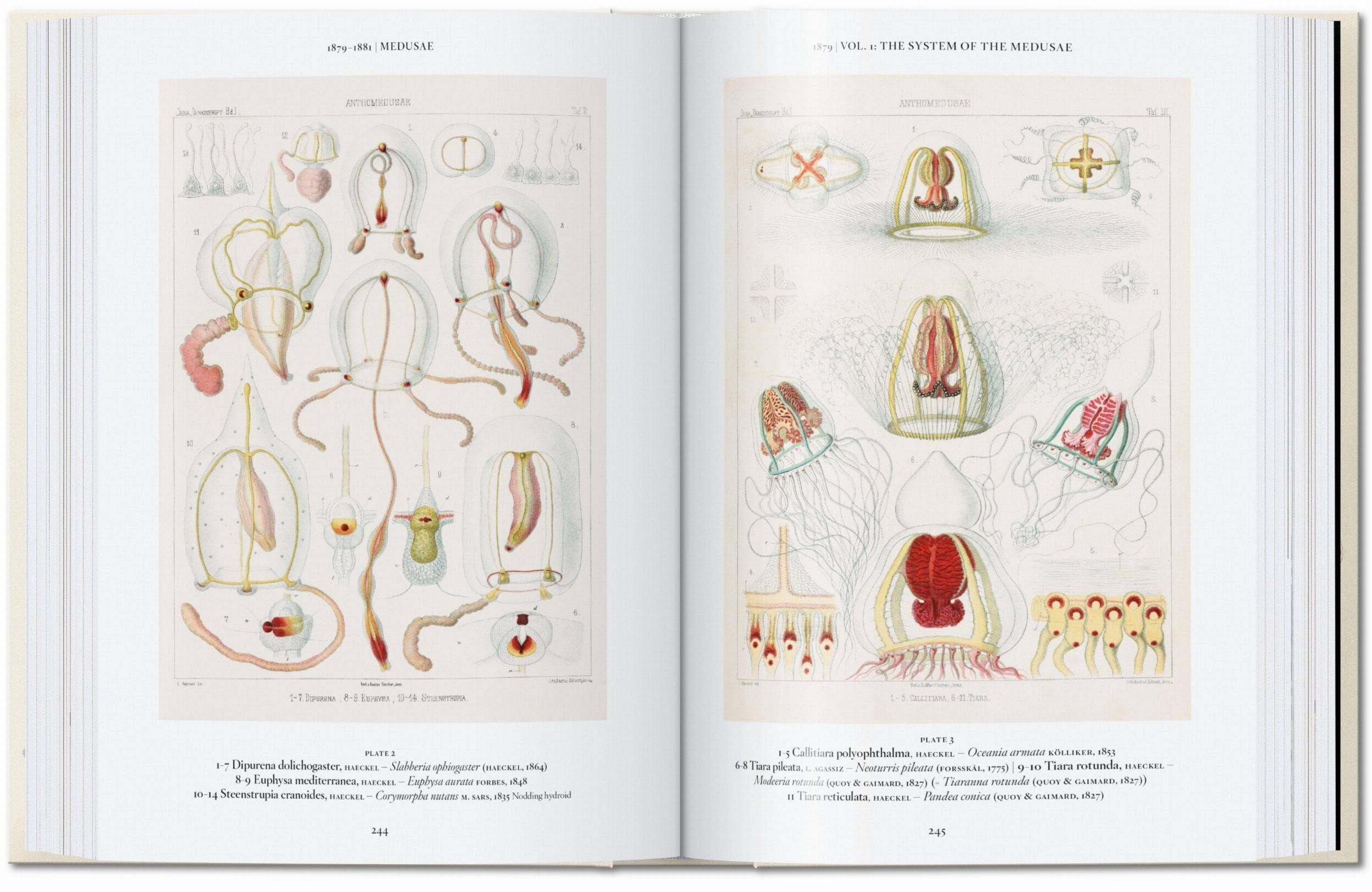 The Art and Science of Ernst Haeckel — 45th Edition