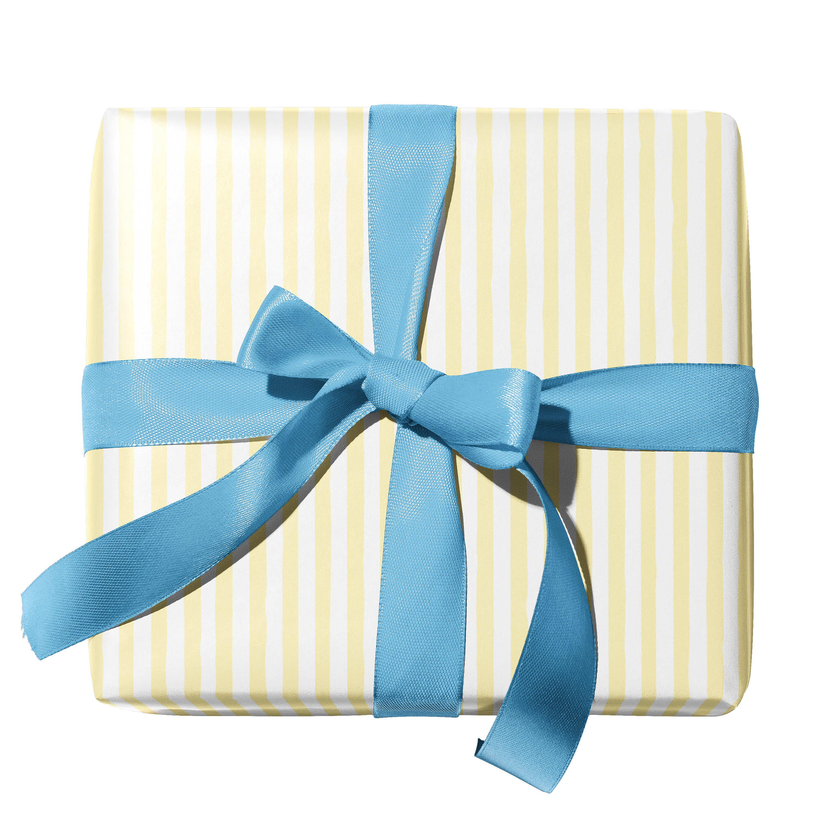 Seagulls & Waves Double-Sided Gift Wrap — by Ramus & Co.