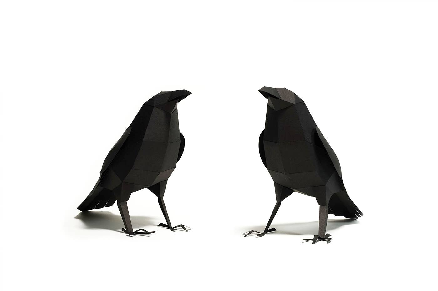 Raven 3D Paper Figure Kit by Plego | Black Paper Bird Model | DIY Craft Kit