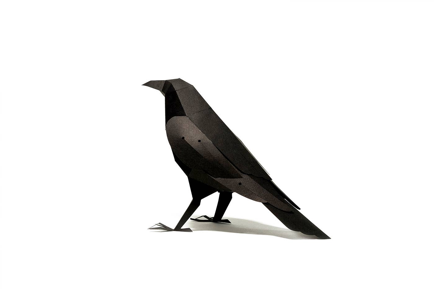 Raven 3D Paper Figure Kit by Plego | Black Paper Bird Model | DIY Craft Kit