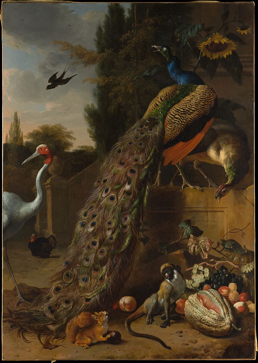 Melchior d’Hondecoeter – Peacocks